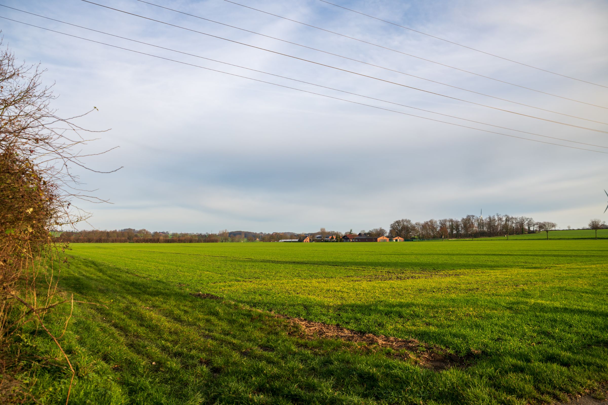 Open Illinois field under a clear sky